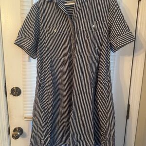 Everlane Navy and White Striped Short-Sleeve Button-Down